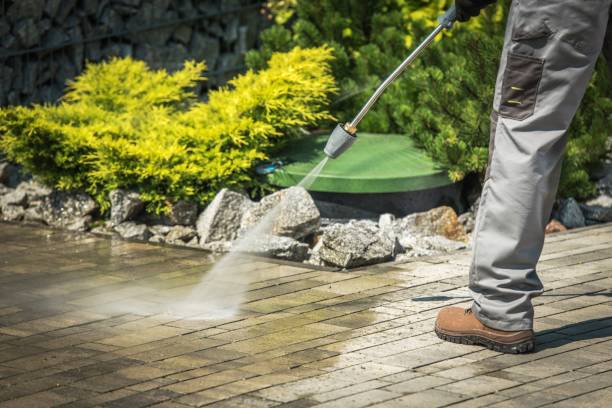 Best Building Exterior Washing  in Loyola, CA