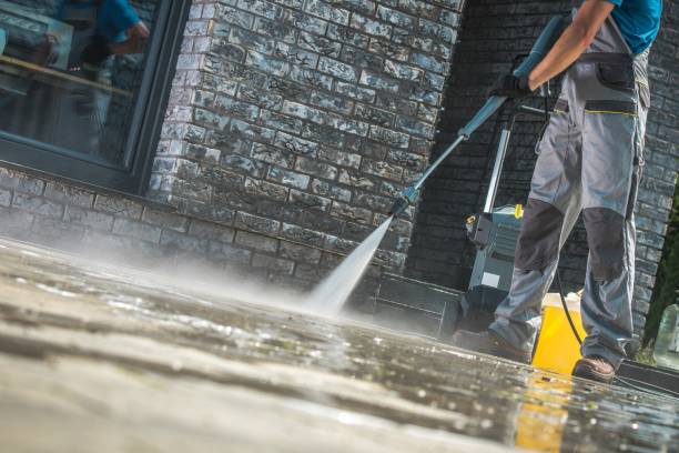 Boat and Dock Cleaning in Loyola, CA